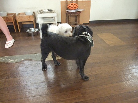 こんにちわ♪