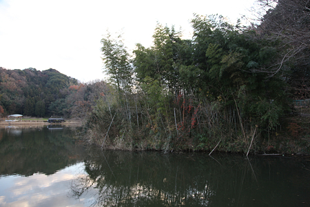 韮山城 - 01