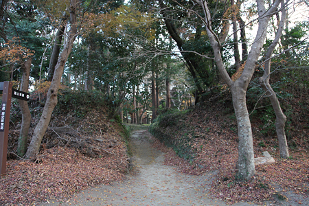 韮山城 - 04