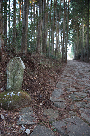 山中城・箱根旧街道 - 002