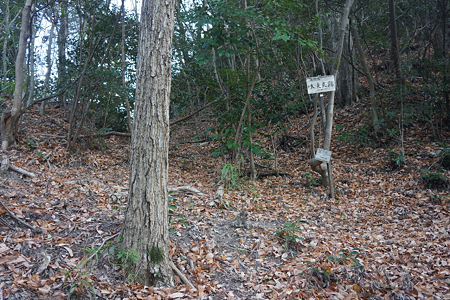 猿掛城 - 01