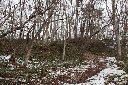 日山城（日野山城） - 11