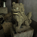 Photos: 稲荷神社狛犬阿形