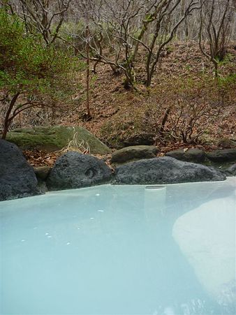 DSCN0558