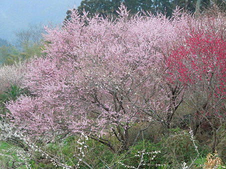 DSCN1140