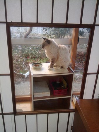 らん