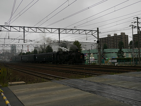 P1100619