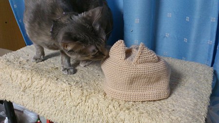 猫耳付き帽子50cmサイズ