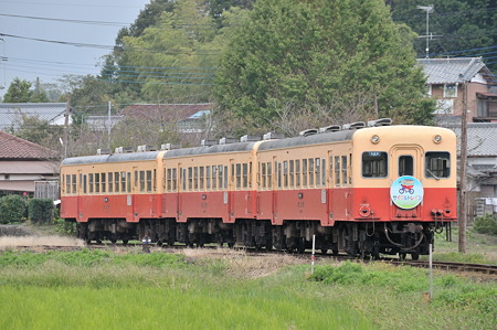 DSC_6405a