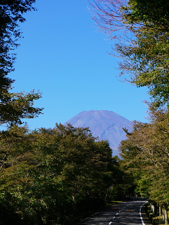 富士山の見える道
