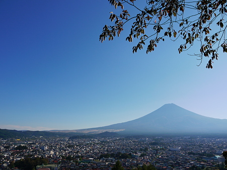 富士吉田からの富士山