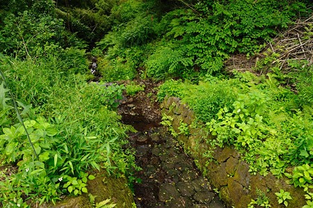1106221525_DSC_1508