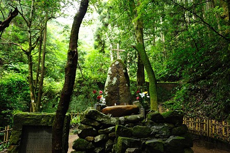 1106230924_DSC_1855