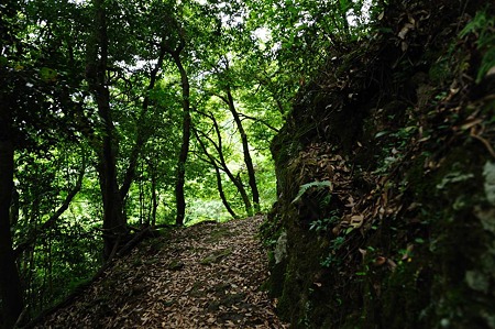 1106231133_DSC_2175