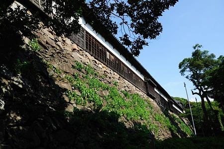 1107121554_DSC_5737