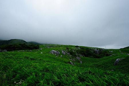1107131429_DSC_3623