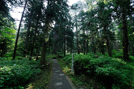 1108130814_DSC_4302