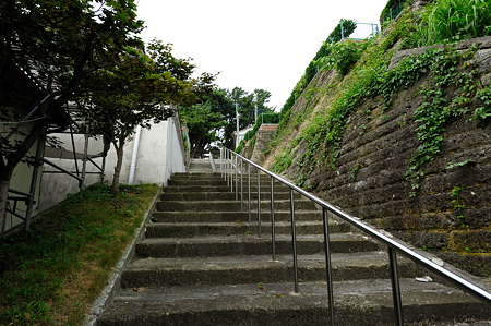 1108131523_DSC_4740