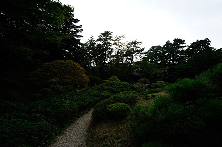 1108131626_DSC_4909