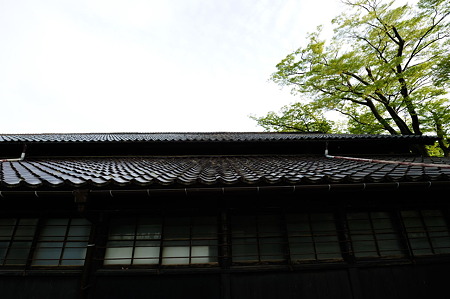 1108131727_DSC_5026