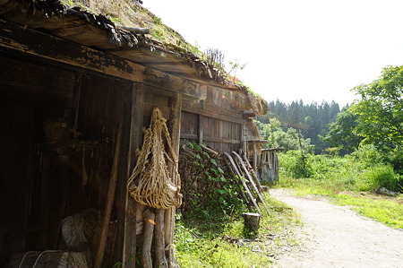 1108141458_DSC_6063