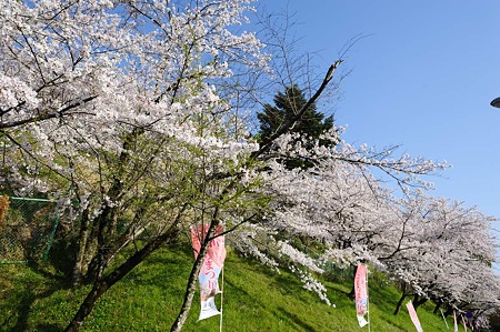 1104121634_DSC_9407
