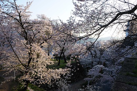 1104121741_DSC_4985
