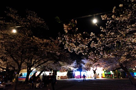 1104121928_DSC_9740