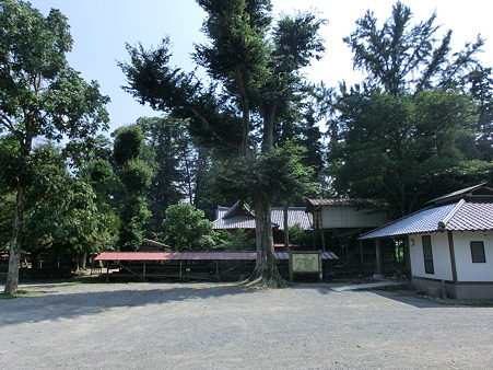 CIMG0159