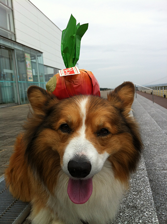 写真 2
