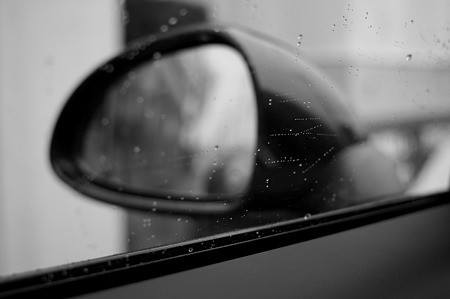 DSC05454m