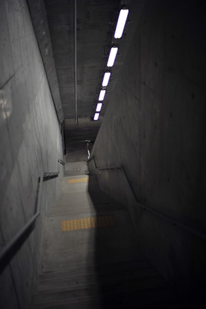 DSC_3914m
