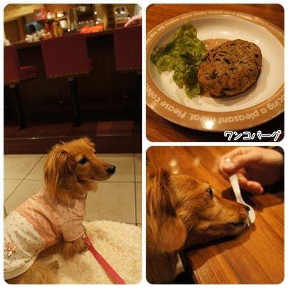 20120408 PETRA☆ディナー(JURIゴハン )