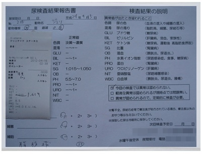 20120415 おちっこ検査 結果