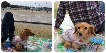 20120415 運動公園で♪