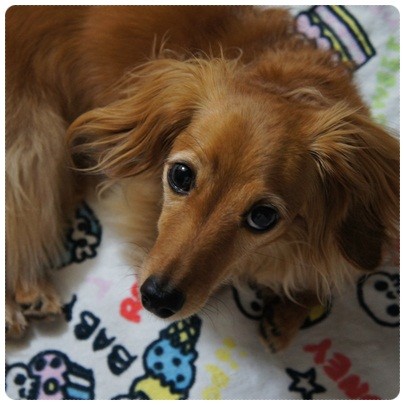 20120718 JURI