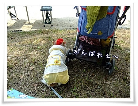 頑張れ