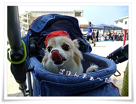 ご飯