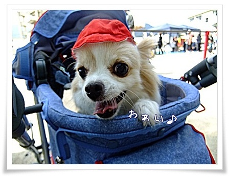 わぁい