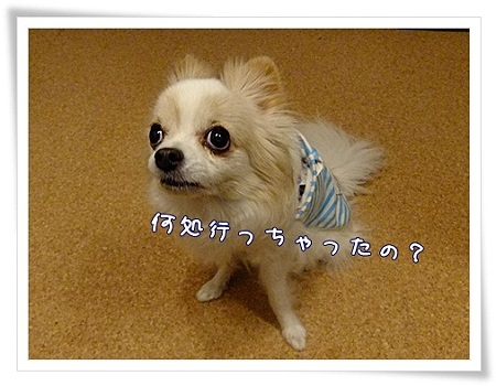 何処へ