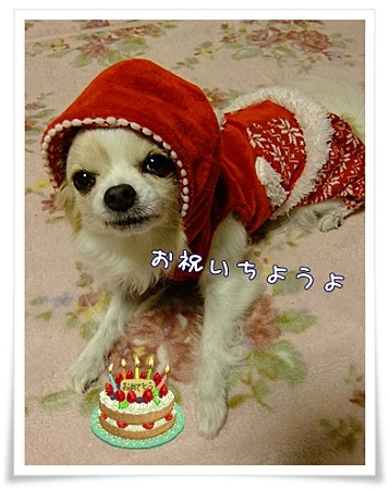 お祝い
