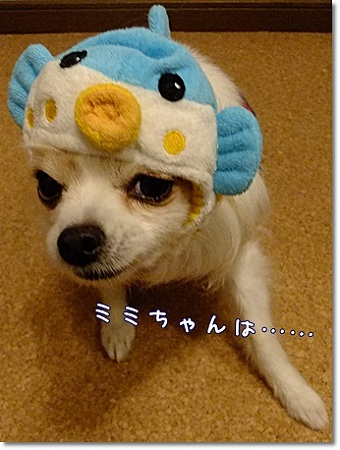 ミミちゃんは