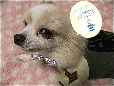 いやね