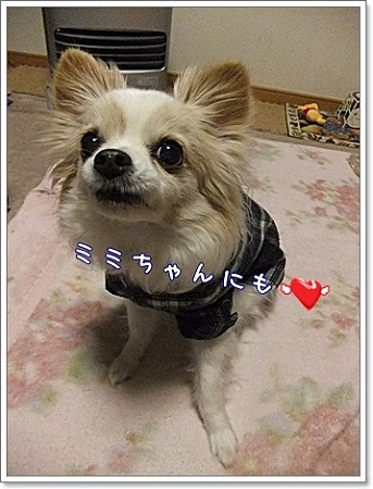 ミミちゃんにも