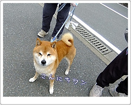 こんにちは