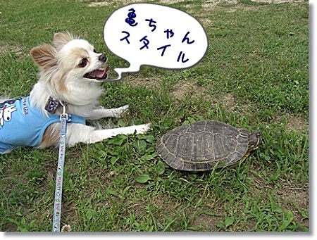 エへ