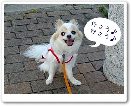 行こう