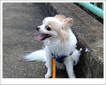 また行くよ