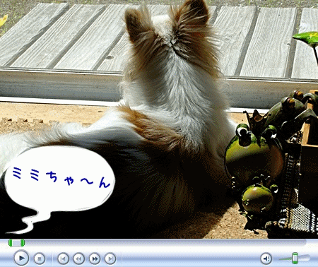 気持ちいいよ♪