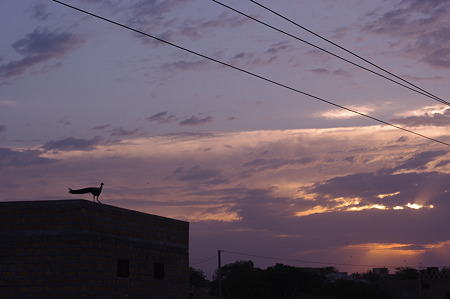 IMGP8191